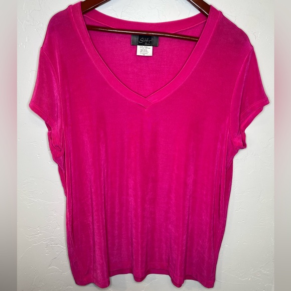 Slinky Brand Tops - Slinky Brand Hot Pink V-Neck Short Sleeve Top